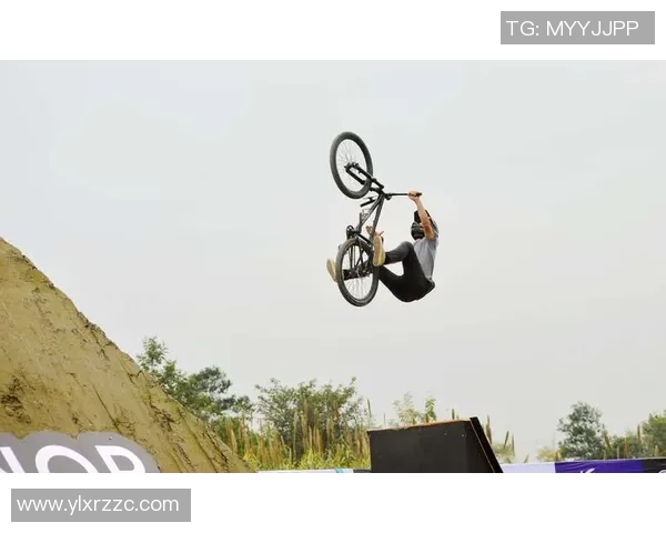 成都极限运动队协作研究与实践探索的深度分析与启示