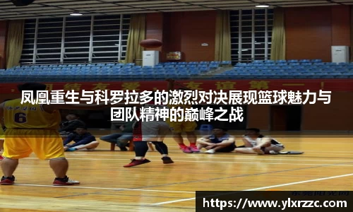 智博19有限公司