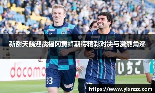 新谢天鹅迎战福冈黄蜂期待精彩对决与激烈角逐